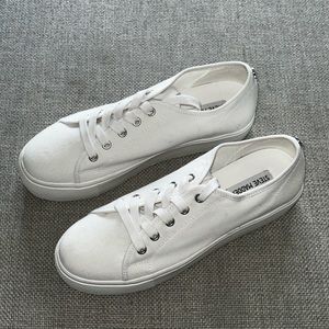 9.5 Steve Madden Canvas Sneakers